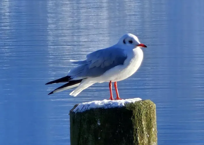 Ferienhaus Frankenmarkt Сasa de vacaciones *
