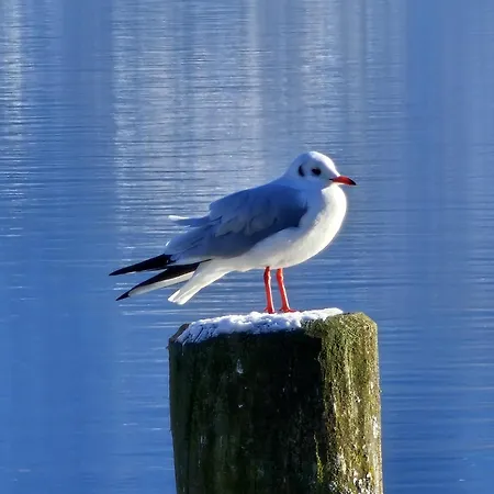 Ferienhaus Frankenmarkt Holiday home *